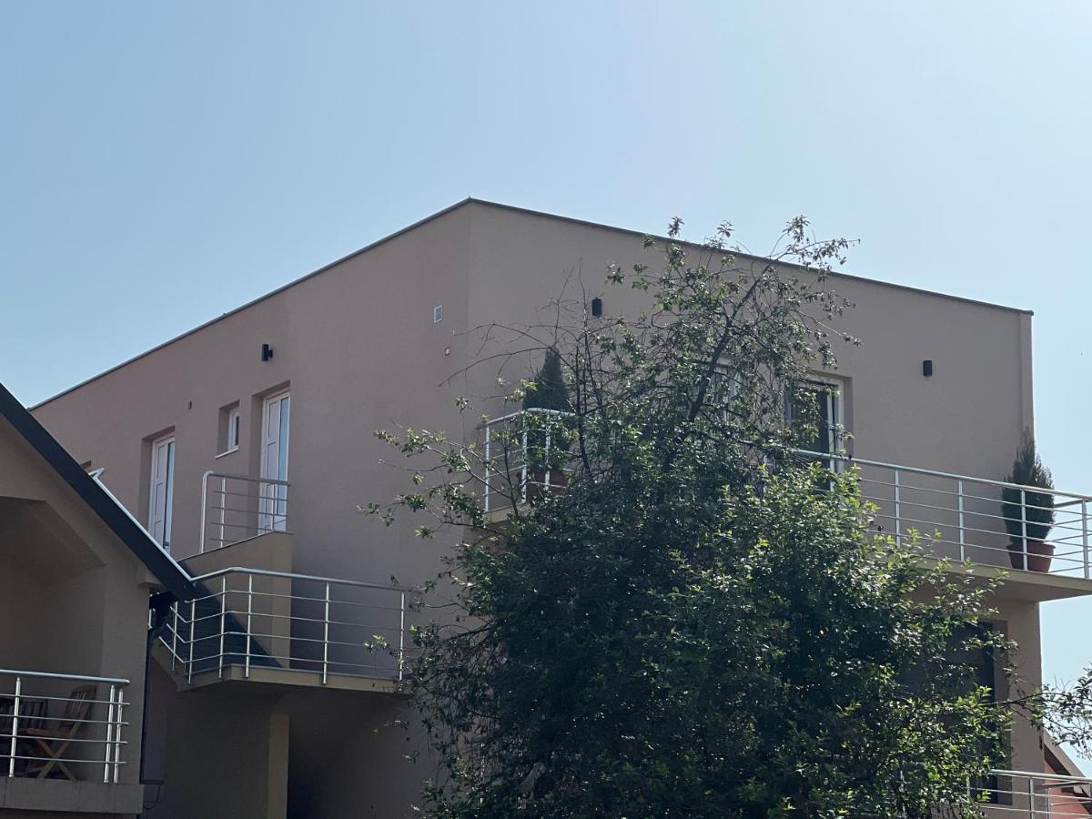 Apartman Scepanovic Nikšić Zewnętrze zdjęcie